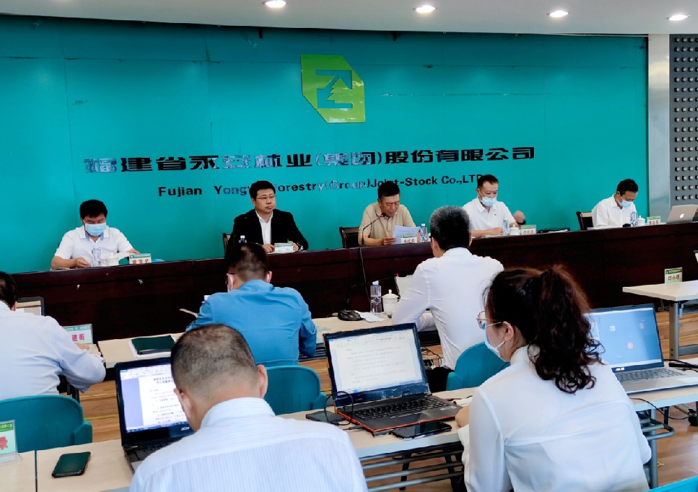 朱成慶主持召開永安林業(yè)董事會