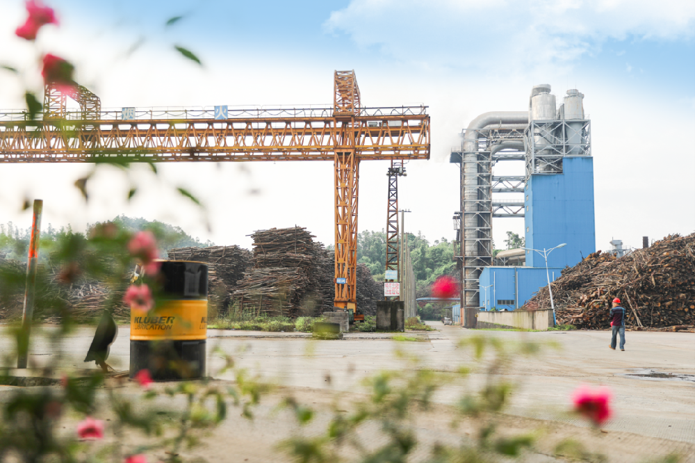 喜報(bào)！永安林業(yè)“春日美景”圖榮登國(guó)務(wù)院國(guó)資委公眾號(hào)