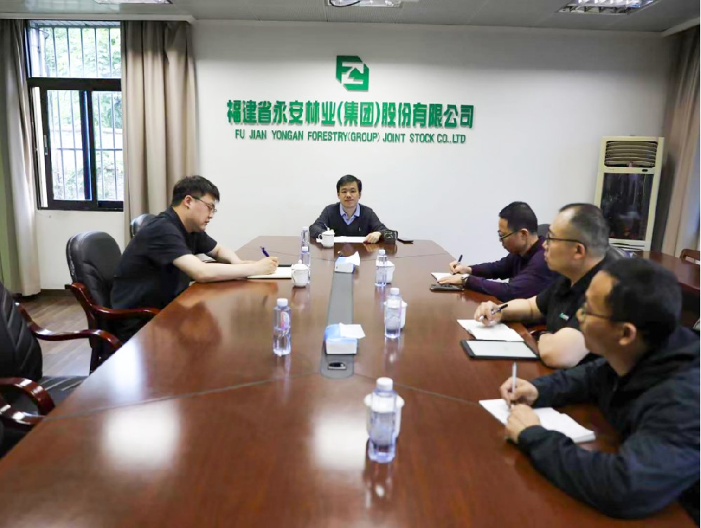 永安林業(yè)召開部門工作交流部署會