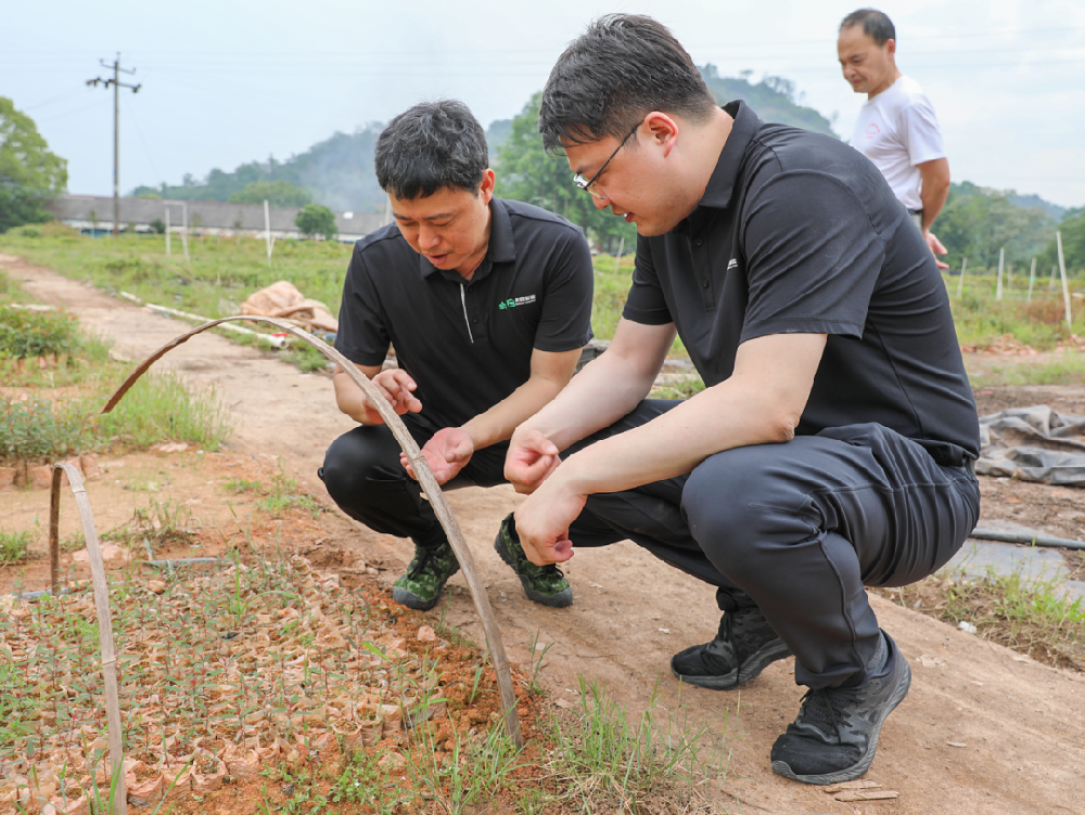 趙家悅調研各事業(yè)部工作并召開第一季度經(jīng)營形勢分析會