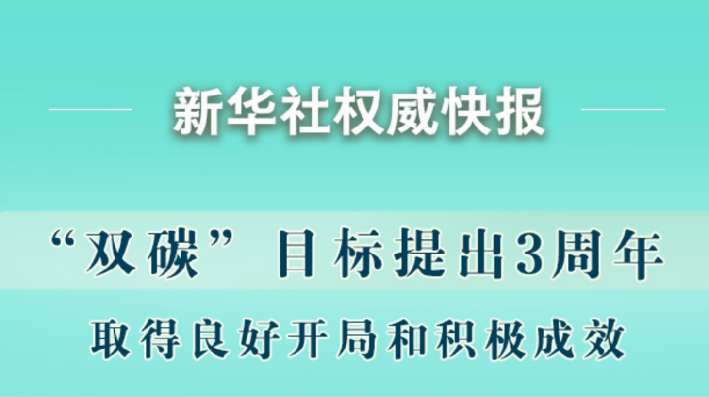 “雙碳”目標(biāo)提出3周年取得積極成效