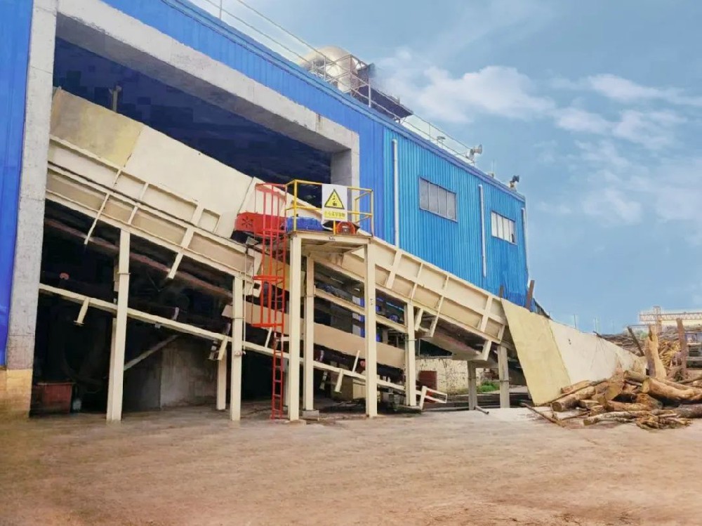 永安林業(yè)扎實推進技改升級 積蓄新質生產力發(fā)展動能