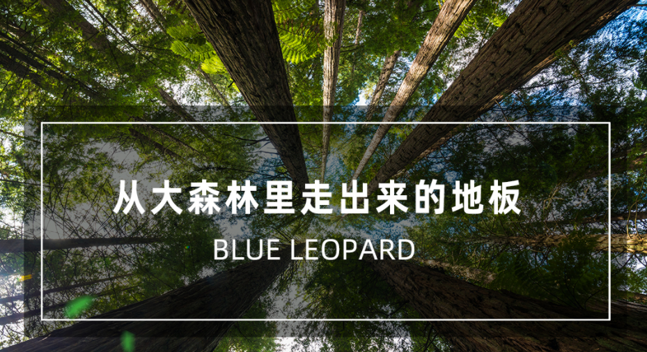 香杉實木復合地板