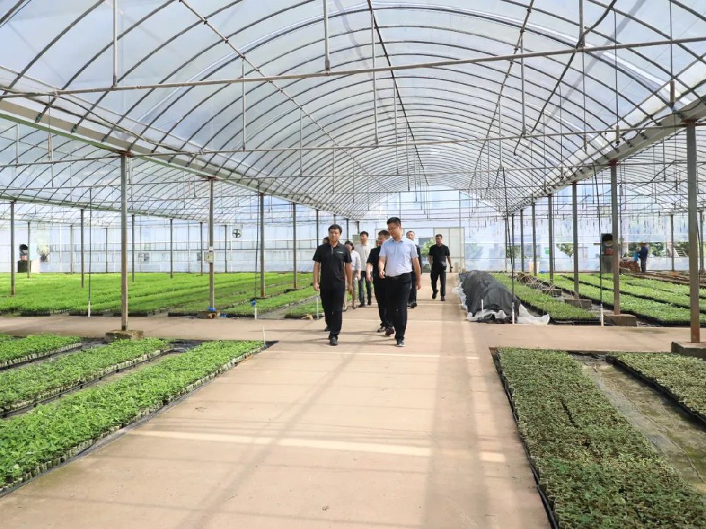 貴州省從江縣委常委、副縣長(zhǎng)李榮祥一行蒞臨永安林業(yè)考察交流