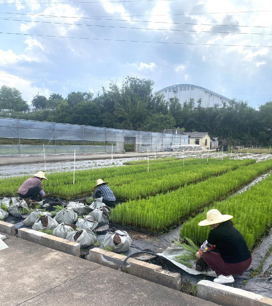 【五一特輯】鏡頭里的勞動者