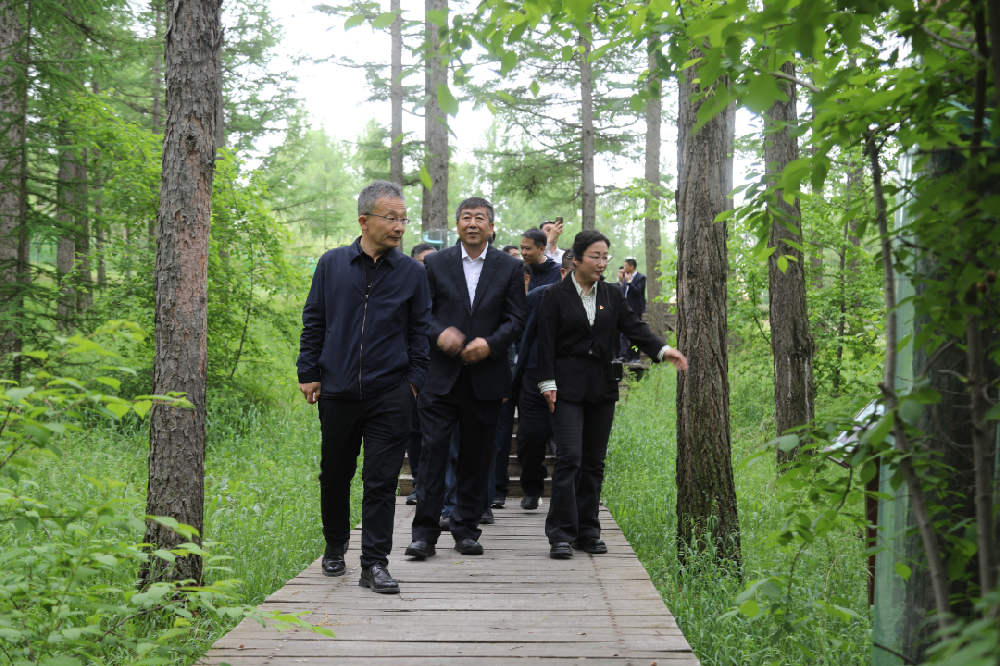 中國(guó)林業(yè)集團(tuán)赴塞罕壩林場(chǎng)學(xué)習(xí)調(diào)研