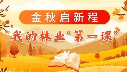 金秋啟新程，我的林業(yè)“第一課”（二）