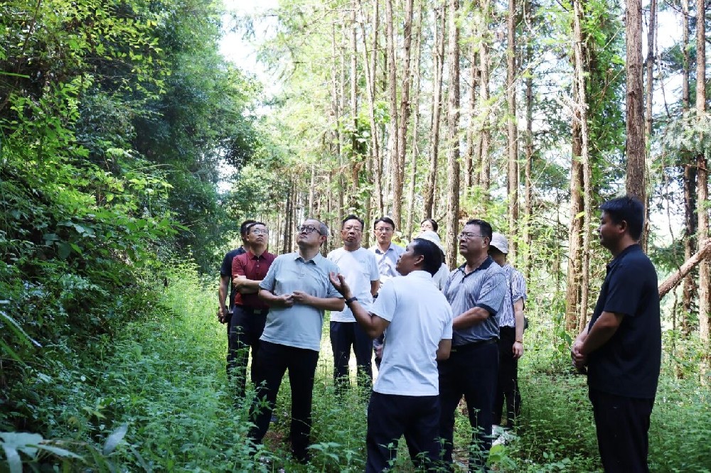 中國林業(yè)集團(tuán)外部董事赴廣東、福建開展林業(yè)產(chǎn)業(yè)高質(zhì)量發(fā)展專題調(diào)研