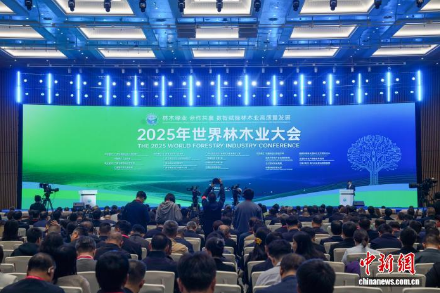中國林業(yè)集團亮相2025年世界林木業(yè)大會 為生態(tài)文明建設(shè)提供“國家隊”實踐方案